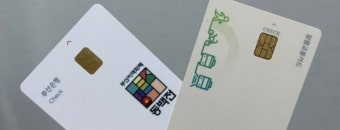 부산시, ‘선불형 동백패스’ 3월 도입… 누구나 이용 가능