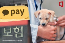 [단독]카카오페이, 4월 펫보험 출격…손보사 빅5 손잡았다