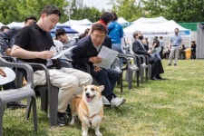 광진구, 취약계층 위한 우리동네 동물병원 지원사업 운영