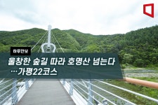 [하루만보]울창한 숲길 따라 호명산 넘는다…가평22코스