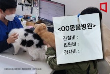 경기도, 1303곳 동물병원 진료비 게시 이행 전수조사