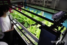 농지 이어 산업단지에도 수직농장 허용키로