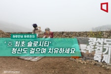 [하루만보 하루천자]亞 최초 슬로시티 청산도 걸으며 치유하세요