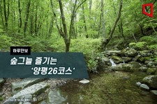 [하루만보]숲그늘 즐기는 양평26코스