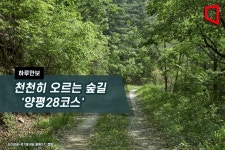 [하루만보]천천히 오르는 숲길 양평28코스