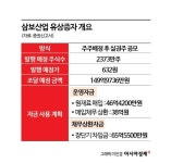 [증권신고서 읽는 기자]주주돈으로 빚 갚는 삼보산업