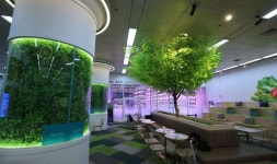 상도역 지하철 유휴공간→수직농장 문화공간 탈바꿈…도심서 작물 재배체험·교육·카페까지