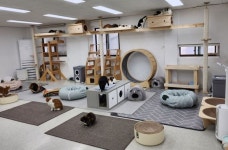 길냥이 쉼터 ‘달달한 동물세상’, 울산지부 새단장 오픈