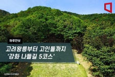[하루만보]고려왕릉부터 고인돌까지 강화 나들길 5코스