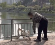 죄 없는 거위 머리 퍽퍽…건대 마스코트 오리 폭행한 남성