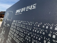 성인 시각장애인 40% 점자 사용 능력 기초 이하