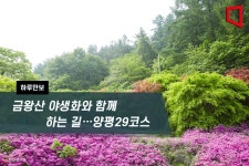 [하루만보]금왕산 야생화와 함께 하는 길…양평29코스