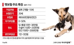 [펫보험 전쟁](上)5년만에 42배 성장…메리츠 독주 흔들