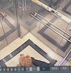 애견유치원에서 한쪽 눈 잃은 반려견…CCTV 본 견주 충격