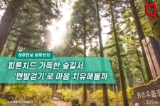 [하루만보 하루천자]피톤치드 가득한 숲길서 맨발걷기로 마음 치유해볼까