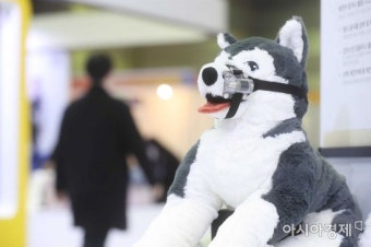 대형견 입마개 요구하자…“딸들도 묶어 다녀라” 12만 구독자 유튜버가 한말