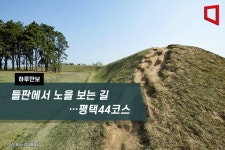 [하루만보]들판에서 노을 보는 길…평택44코스