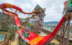 롯데워터파크, ‘썸머웨이브’ 시즌 개막… 개장 10주년 퍼포먼스·뮤직파티