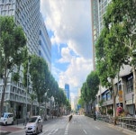 영등포구 영중로 가로수길 ‘우수관리 최우수구 선정