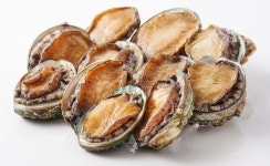 바닷물째 퍼올려 싱싱…롯데마트, 복날 맞아 집념전복 캠페인