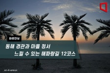 [하루만보]동해 경관과 마을 정서 느낄 수 있는 해파랑길 12코스