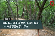 [하루만보]솔향 맡고 물소리 듣는 소나무 숲길… 북한산둘레길 1코스