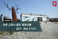 [하루만보]아픈 근대사 품은 매향리를 걷다…화성 47코스