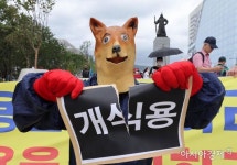 시골집 반려견 먹으려던 이웃…발뺌하지만 증거가 없네요