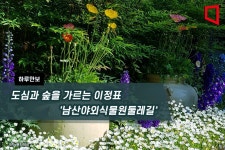 [하루만보]도심과 숲을 가르는 이정표 남산야외식물원둘레길