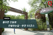 [하루만보]봄이면 진달래 만발하는 길…부천 55코스