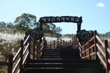 “가을 절경 포천서 즐겨요” 포천시, 산정호수 명성산 억새꽃 축제