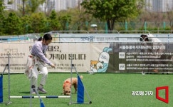 세계서 가장 외로운 나라 한국…산부인과 사라지고, 동물병원 들어섰다