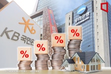 디딤돌 뭇매에 억울한 국토부 건전성 관리…번복 비판은 과해[1mm금융톡]