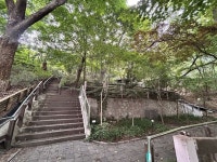 종로구, 국립서울맹학교 뒷산에 ‘숲 체험장’ 조성