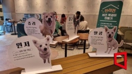 [르포]스타벅스·동행 “우리집 댕댕이 목에 전화번호 걸어주세요”