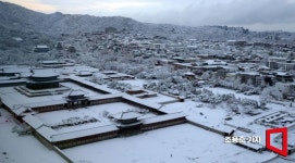 [아경포토]그럼에도 불구하고, 오늘 눈은 반갑습니다
