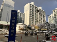 집도 안보고 계약, 매물 거둬 일산 선도지구 가보니