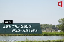 [하루만보]소래산 지키는 마애보살 만나다…시흥 54코스
