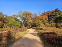 고양시, 배출가스 저감·친환경자동차 지원…미세먼지 없는 도시 앞장