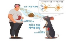 치킨 보기만 해도 배불러…위고비 등 다이어트약 기전 밝혀졌다