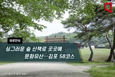 [하루만보]싱그러운 숲 산책로 곳곳에 문화유산…김포 58코스