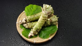 한국 사람처럼 고추 먹어요…와사비 대신 고추 찾는 日 젊은이들[日요일日문화]