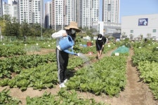 입춘 지난 지 한 주...구로·송파·성동구 주말 농장 분양