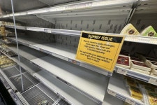 암탉 빌려드립니다 극심해진 에그플레이션…계란도둑 극성