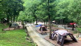 ‘산소 가득’ 화천군 공공 캠핑장 4월 일제히 개장