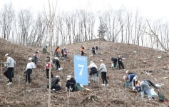 [포토]희망의 나무를 심어요. 유한킴벌리 신혼부부 나무심기