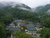 나는 절로, 쌍계사 1332명 중 男女 24명 추렸다…인연이 연인되길