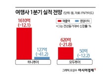너희 집도 해외여행 갔어? 우리도…여행사들 오히려 실적 뒷걸음질, 왜?