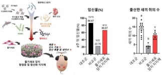 오랜드바이오 손상된 난소 기능 회복 새 치료제 개발