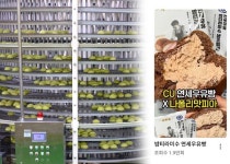 푸드코아 2초마다 팔리는 연세크림빵, 이제 스웰리로 세계로